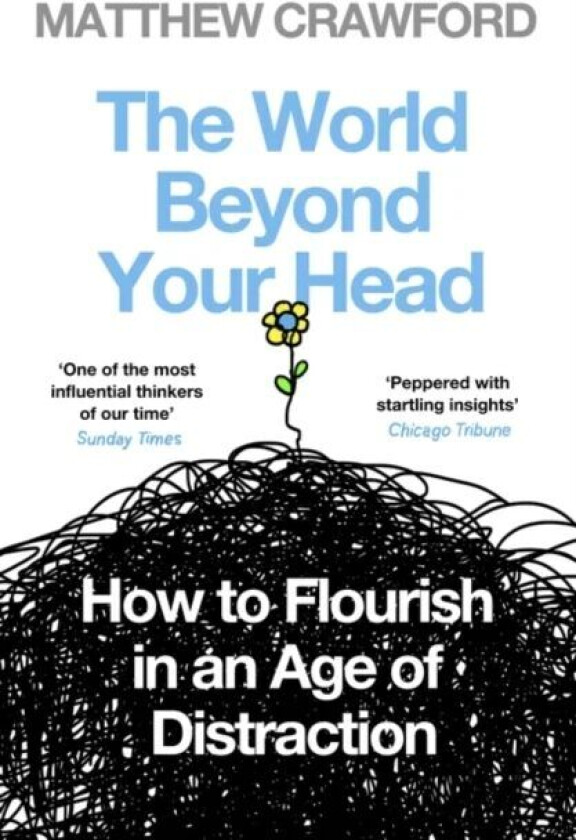 The World Beyond Your Head av Matthew Crawford