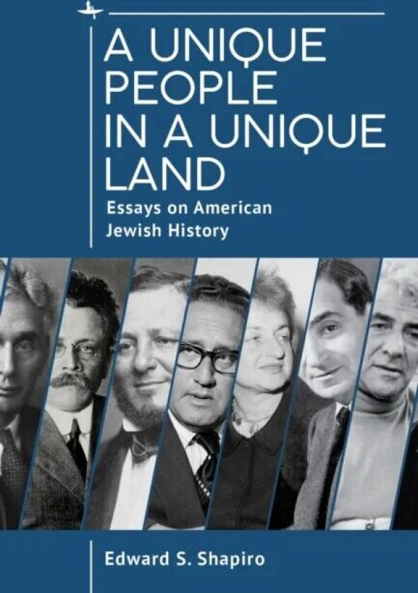 A Unique People in a Unique Land av Edward Shapiro