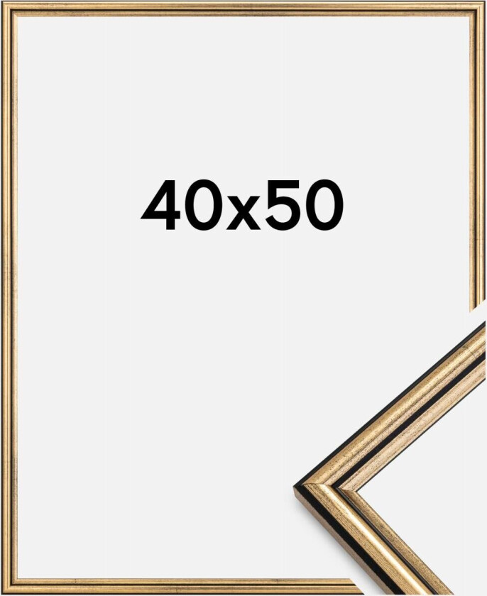 Ramme Horndal Akrylglass Gull 40x50 Cm