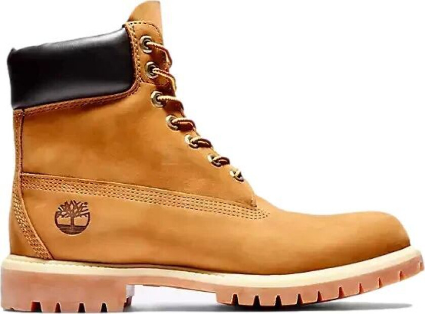 Men's Premium 6" Waterproof Boot Wide 45, Yellow