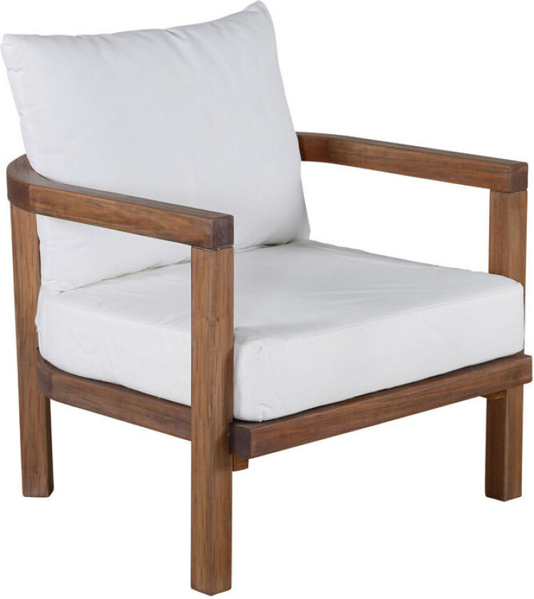 Erica hagestol hvit, natur .