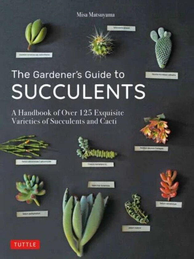 The Gardener's Guide to Succulents av Misa Matsuyama
