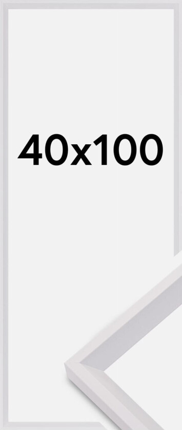 Ramme Globe Akrylglass Hvit 40x100 Cm