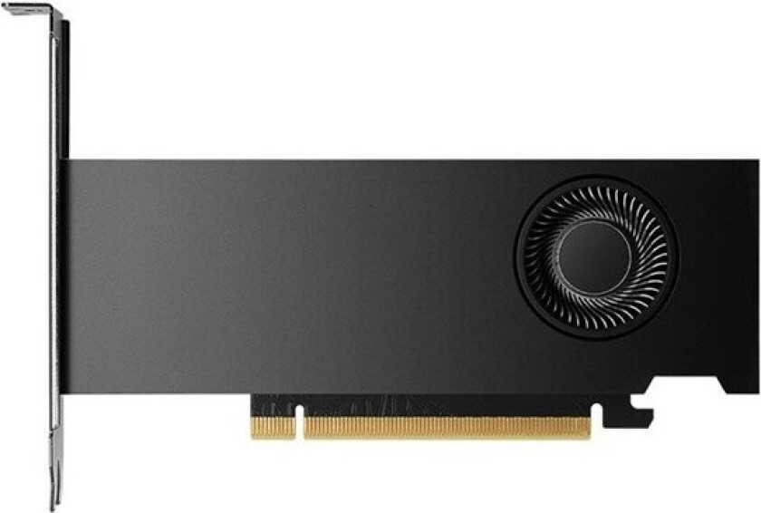 NVIDIA RTX 2000 Ada - 16GB GDDR6 RAM - Grafikkort