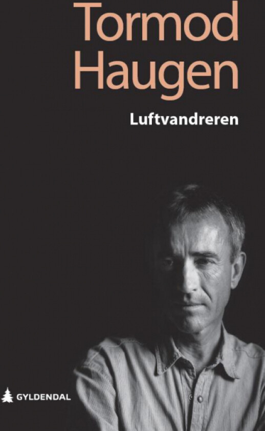 Luftvandreren av Tormod Haugen