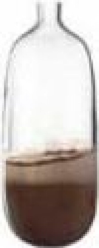 041671, Flaske-formet Vase, Brun, Gjennomsiktig, Blank, Bord, Innendørs, 500 mm
