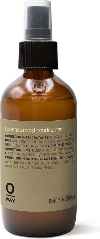 No-Rinse Moisturizing Conditioner 160ml