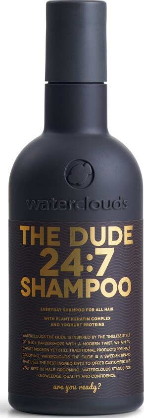 The Dude 24:7 Shampoo 250ml