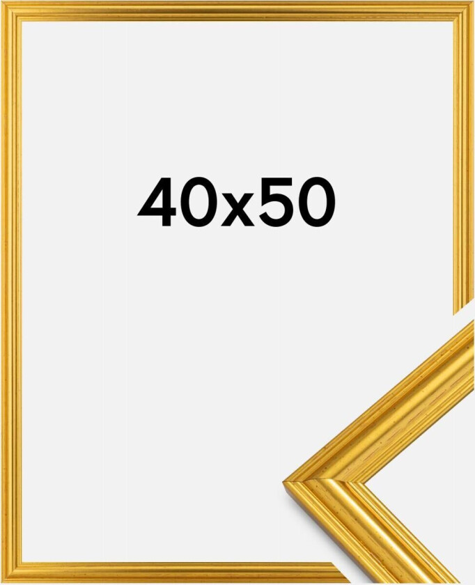 Ramme Frigg Gull 40x50 Cm