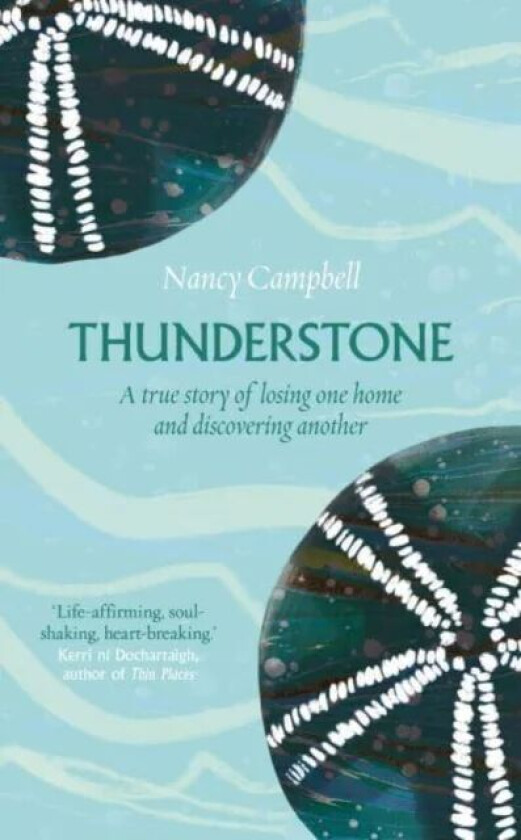 Thunderstone av Nancy Campbell