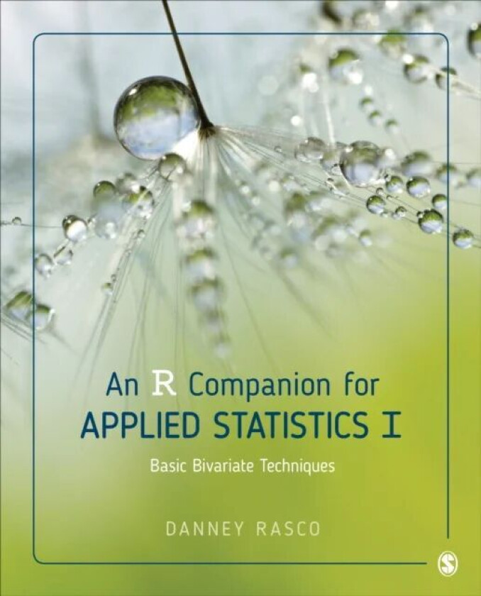 An R Companion for Applied Statistics I av Danney Rasco