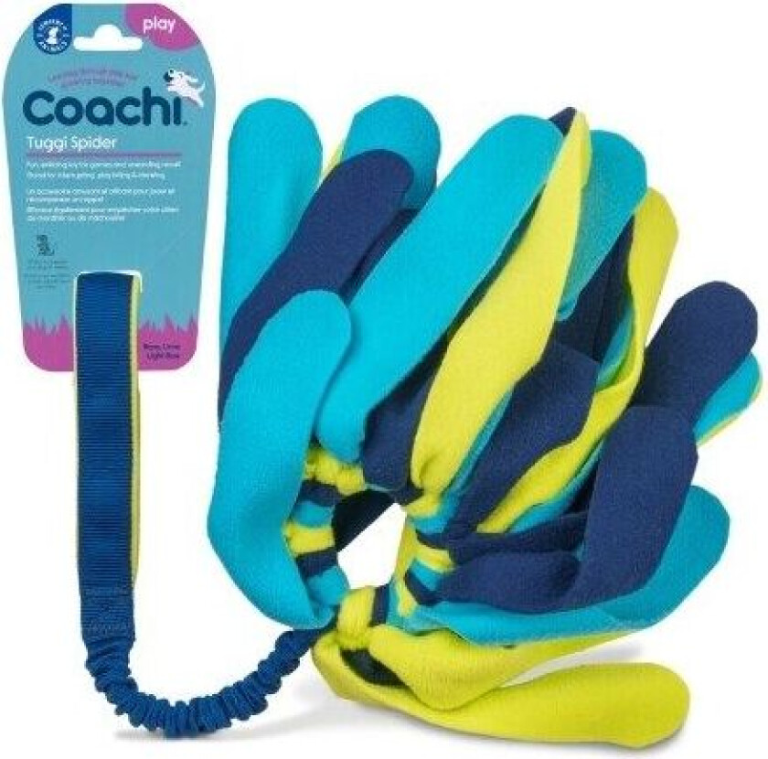 Bilde av hundeleke Tuggi Spider - L 60 x B 20 x H 5 cm