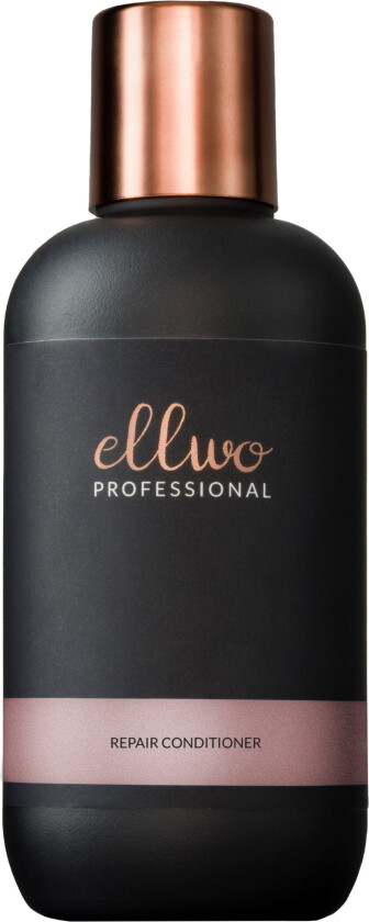 Repair Ellwo Conditioner 100 ml
