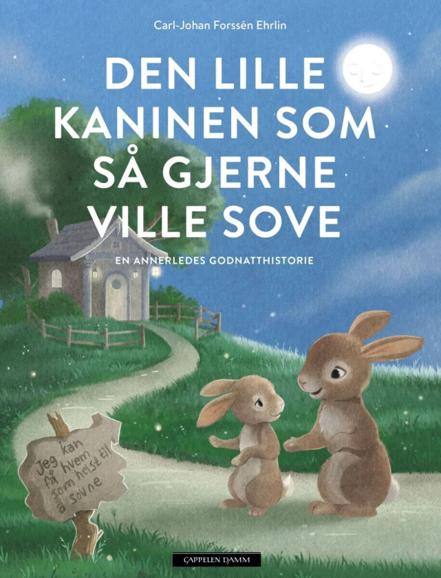 Den Lille Kaninen Som Så Gjerne Ville Sove Av Carl-Johan Forssén Ehrlin
