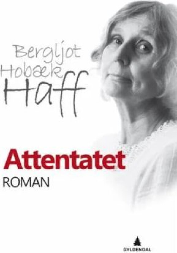 Attentatet av Bergljot Hobæk Haff
