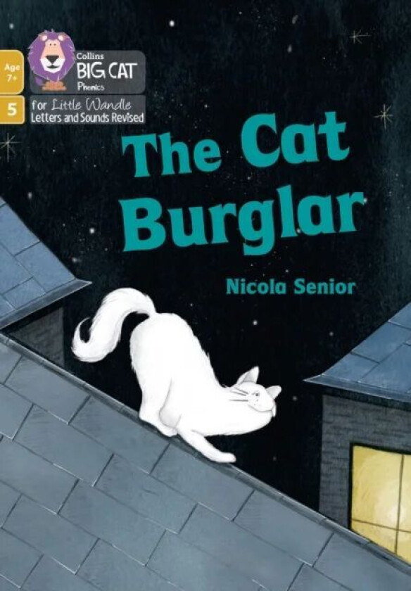 The Cat Burglar av Nicola Senior