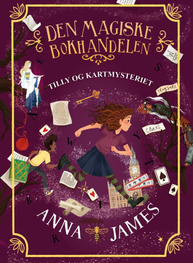 Tilly og kartmysteriet av Anna James