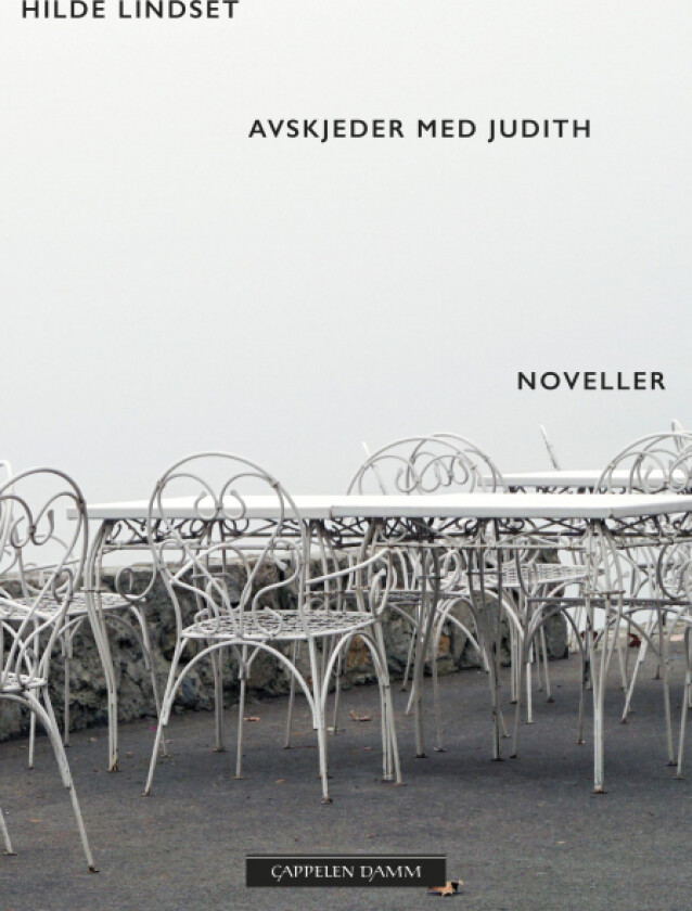 Avskjeder med Judith av Hilde Lindset