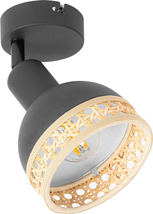 Lonnaris spot med rotting, svart, 1 lk