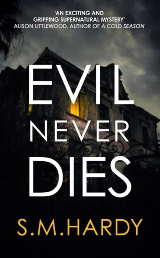 Evil Never Dies av S M Hardy
