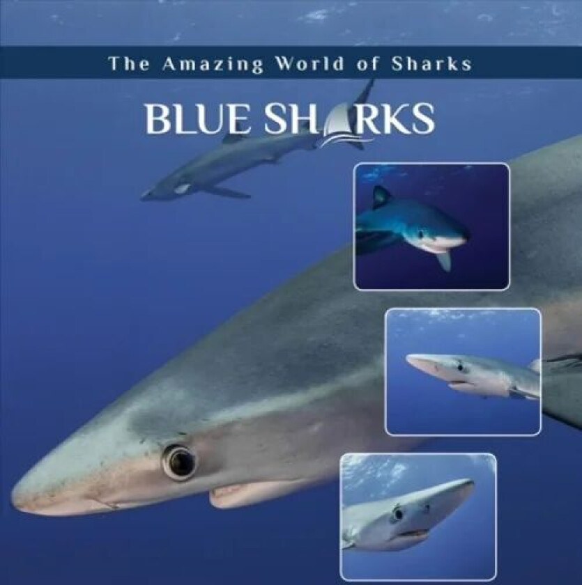Blue Sharks av Elizabeth Roseborough