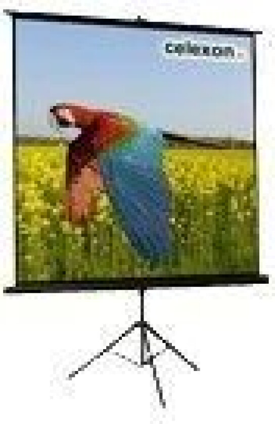 Celexon Economy tripod screen - Projeksjonsskjerm med tripod - 87 (221 cm) - 4:3
