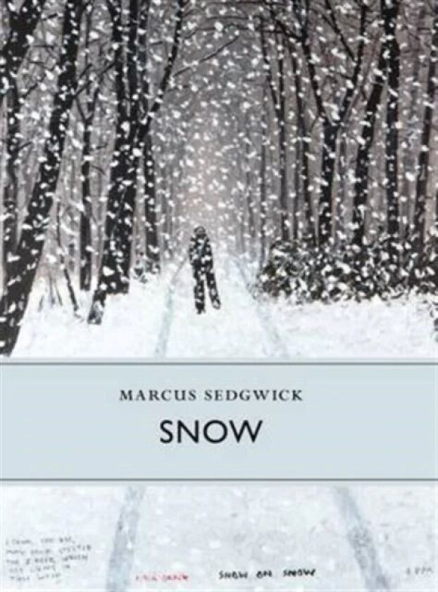 Snow av Marcus Sedgwick