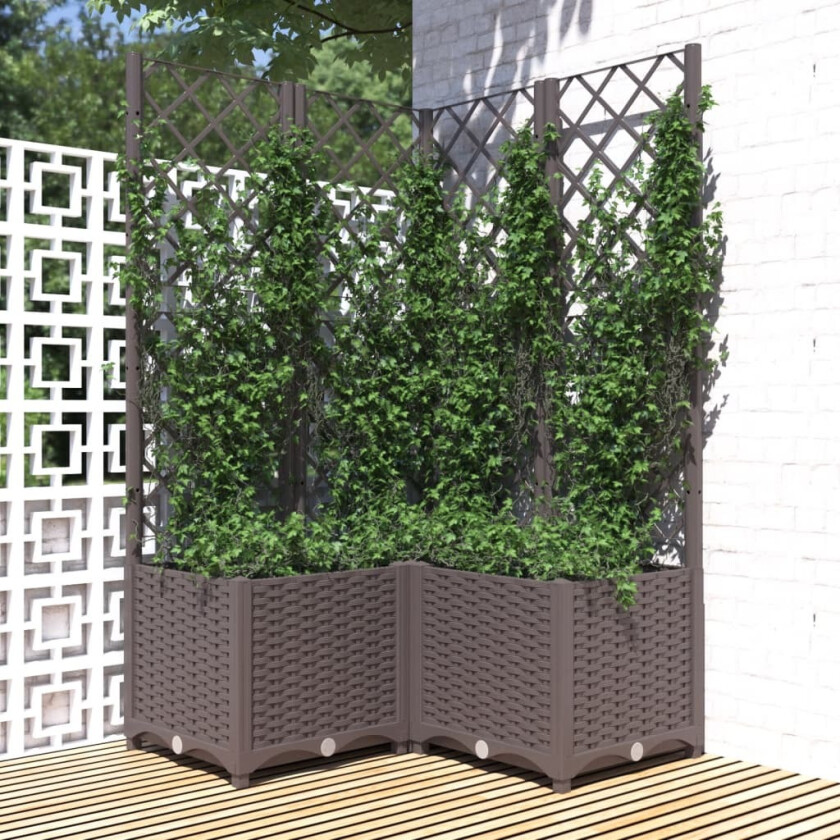 Plantekasse med espalier brun 80x80x136 cm PP