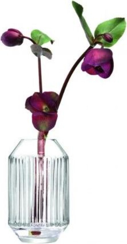 Vase Rotunda Lsa 15x9,2x9,2cm