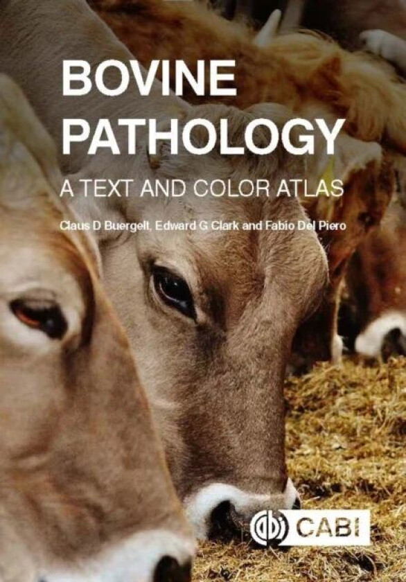 Bovine Pathology av Dr Claus D (Professor Emeritus University of Florida USA) Buergelt, Dr Edward G (Adjunct Professor University of Calgary Canada) C