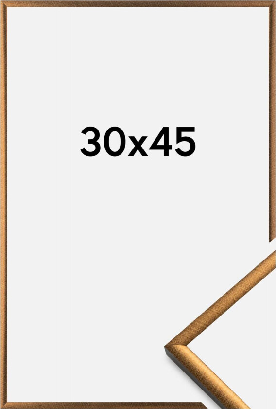 Ramme New Lifestyle Bronse 30x45 Cm