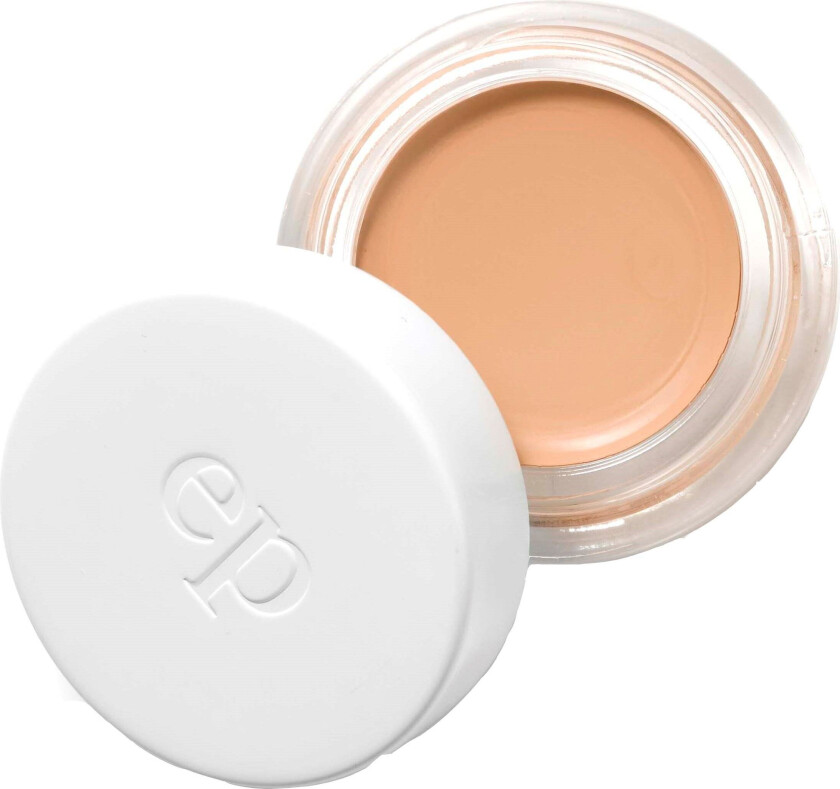 Arnica Concealer Chai