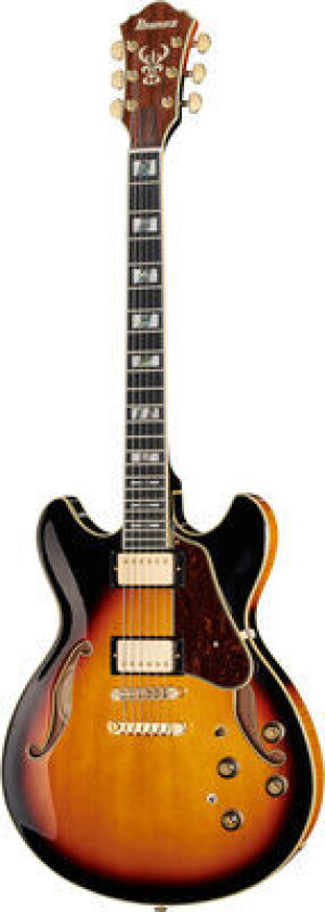 AS113 Semi Hollowbody Brown Sunburst
