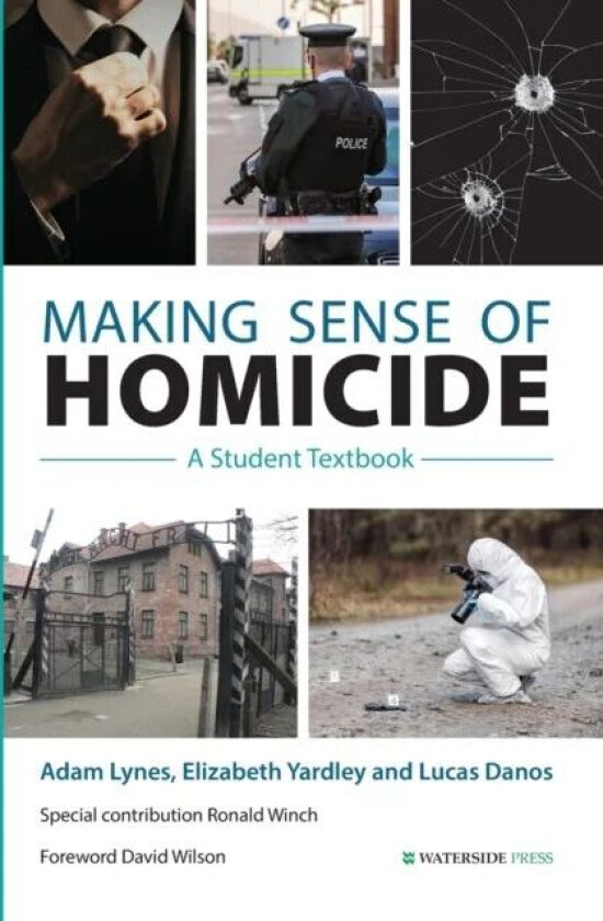 Making Sense of Homicide av Adam Lynes, Elizabeth Yardley, Lucas Danos, Ronald Winch