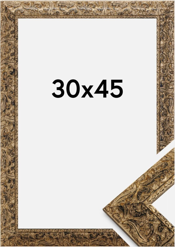 Ramme Ralph Gull 30x45 Cm