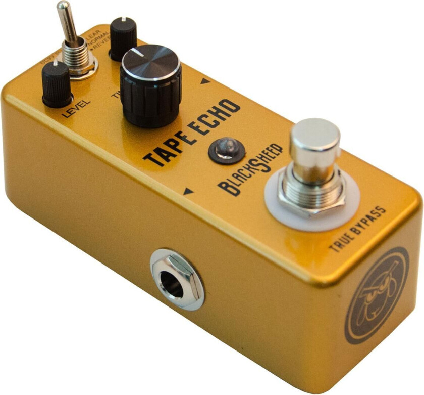 Tape Echo