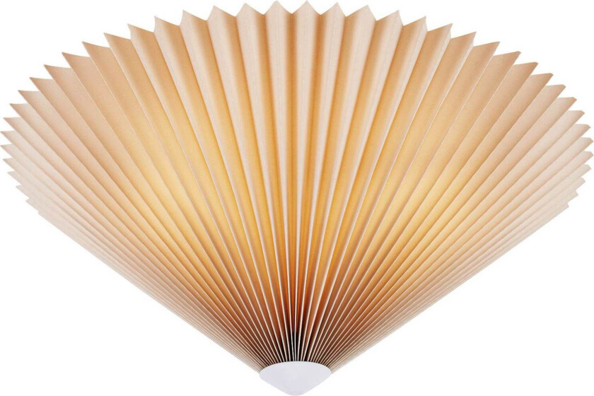 PLISADO 3L 50cm Bei 108705