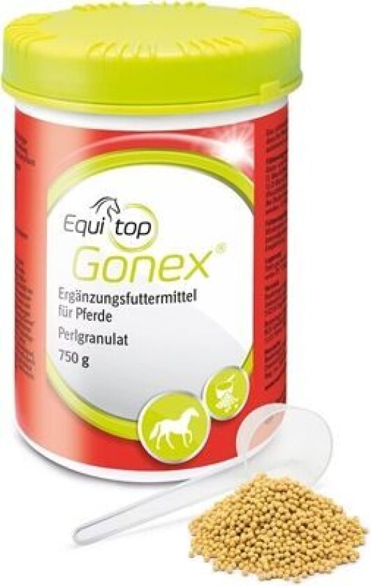 Bilde av Equitop Gonex