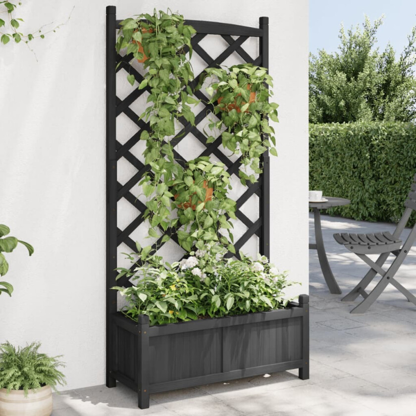 Bilde av Plantekasse med espalier svart heltre gran