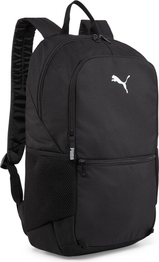Teamgoal Backpack With Ball Net, ryggsekk BLACK