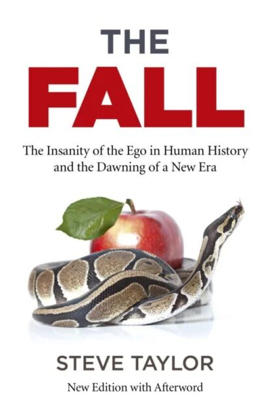 Fall, The (new edition with Afterword) av Steve Taylor