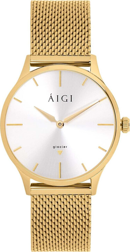 GLACIER GOLD 36MM - MESH