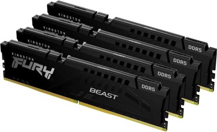 FURY Beast DDR5-5600 C40 QC - 64GB