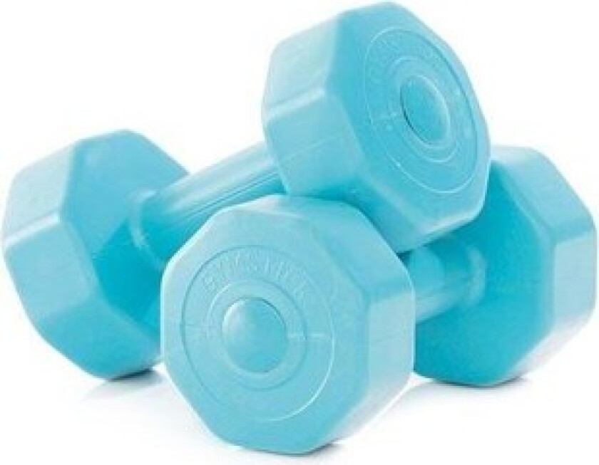 Bilde av Active Vinyl Dumbbells 2 x 1kg