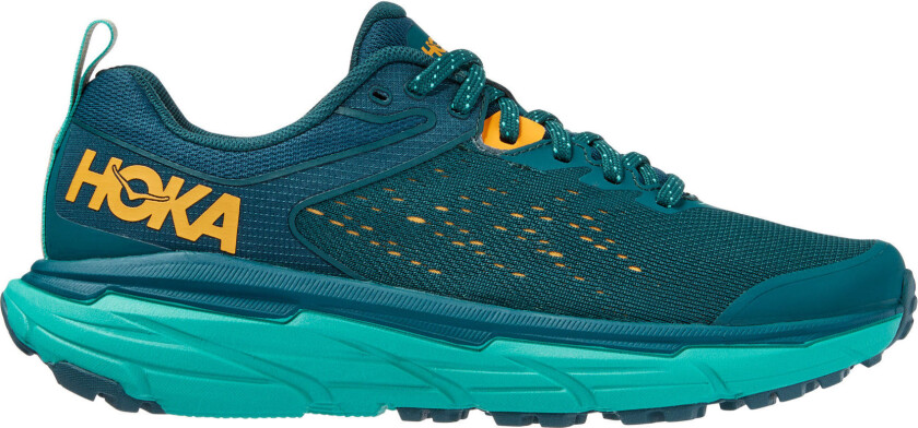 Challenger ATR 6 Dame Deep Teal/Water Garden 39 ⅓