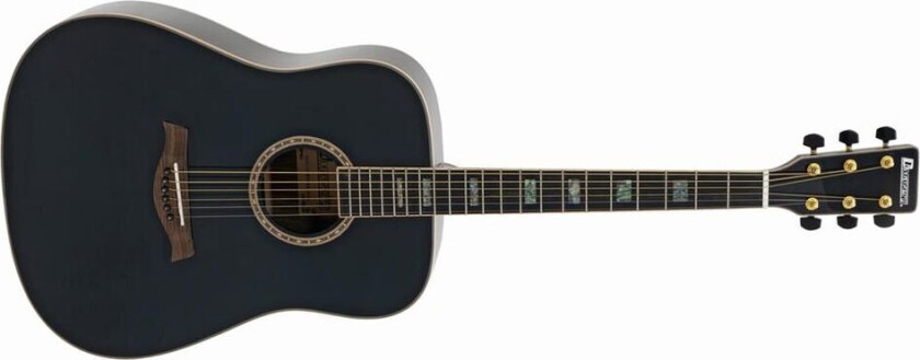 Tw-85 Western Guitar, Massive