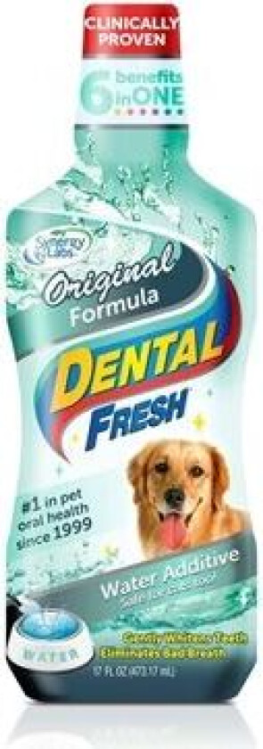 Dental Fresh Dog