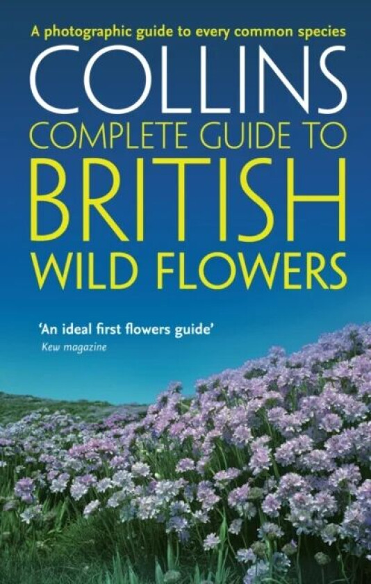 British Wild Flowers av Paul Sterry