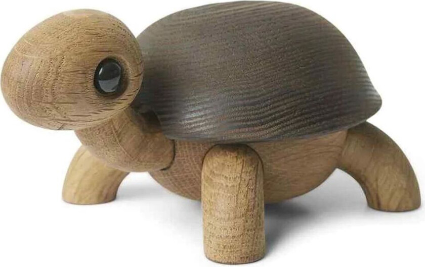 Slowy skilpadde dekorasjon Eik-ask