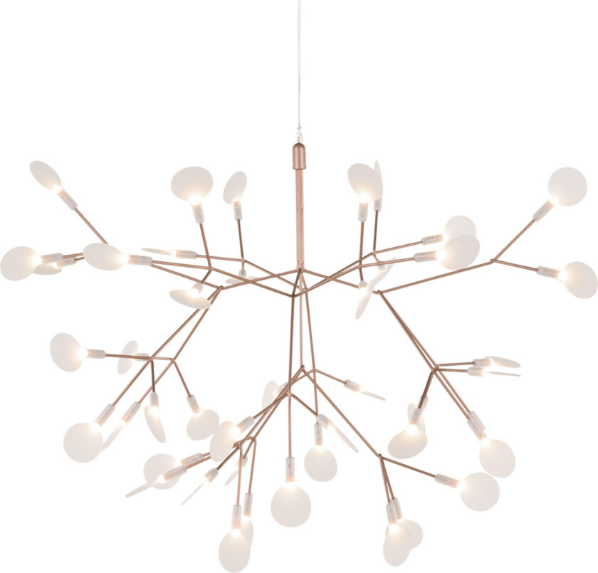 Heracleum III Suspended Small / Copper